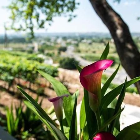 Belvedere Locorotondo Εξωτερικό φωτογραφία