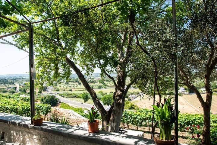 Belvedere Locorotondo Εξωτερικό φωτογραφία